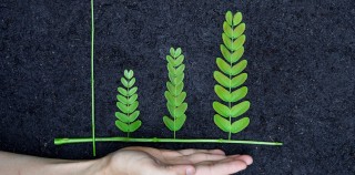 4. Environnement